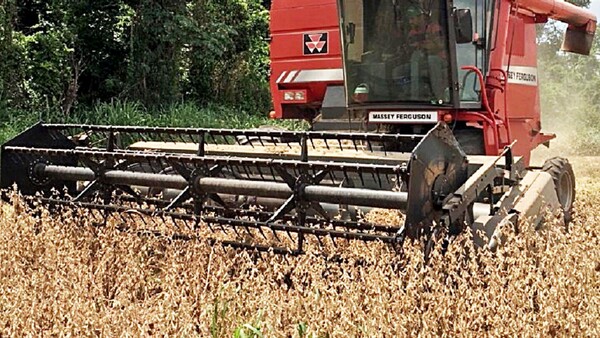 Itapúa: Presentan plan de seguridad para proteger zafra sojera