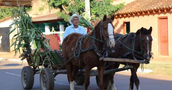 La Nación / La magia del norte paraguayo está en el distrito de Itacurubí del Rosario