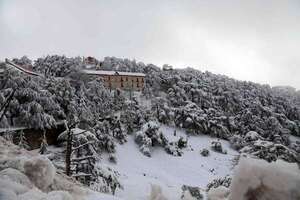 Rescatan a cientos de personas atrapadas en la nieve en centro y este de Argelia - Mundo - ABC Color