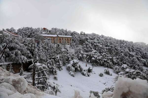 Rescatan a cientos de personas atrapadas en la nieve en centro y este de Argelia - Mundo - ABC Color