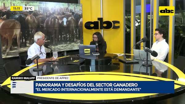 Desafíos del sector ganadero paraguayo: caída del rebaño y la necesidad de mercados “más valiosos” - ABC TV - ABC Color