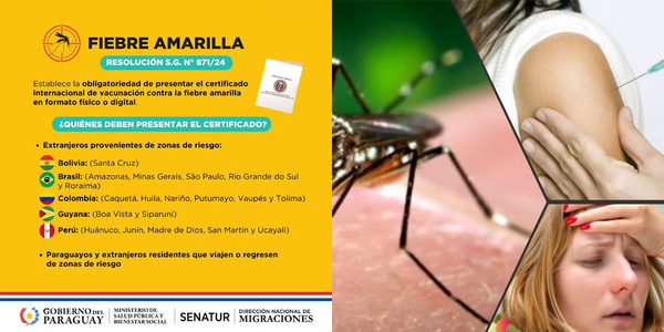 CERTIFICADO DE VACUNACIÓN: MÁS DE 104.000 DESCARGAS DIGITALES EN PARAGUAY - Itapúa Noticias