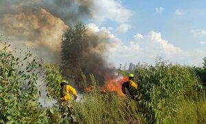 Infona reporta que más de 40 mil hectáreas fueron afectadas por incendios forestales