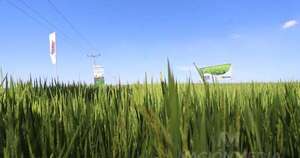 La Nación / El río Tebicuary no está exento al déficit de lluvias y es natural, dice Feparroz
