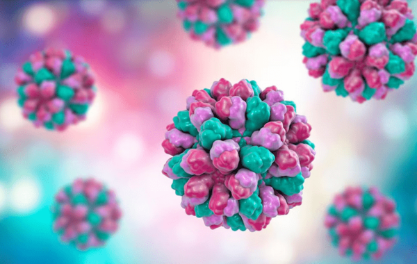 Ocho claves sobre el norovirus y cómo protegerse para evitar la transmisión