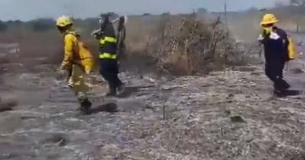 La Nación / Varias compañías de bomberos intentan apagar el incendio en zona de la Costanera Norte