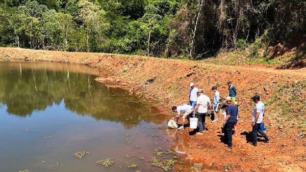 Siembran salmones en Hohenau para promover la piscicultura
