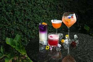 Cóctel de autor, inspiración y sabor para el verano - ABC Revista - ABC Color