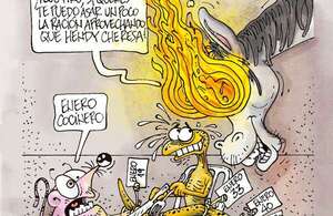 HUMOR - Humor - ABC Color