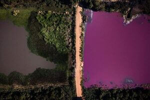 Lo que puede una fotografía. Imágenes, medios de comunicación, redes sociales y ecología (II)