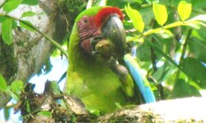 En estrecha relación con la naturaleza: doña María Luisa