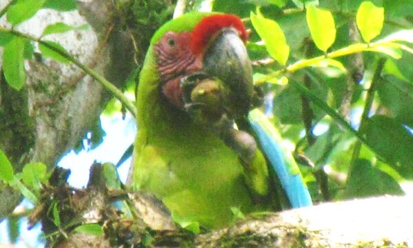 En estrecha relación con la naturaleza: doña María Luisa