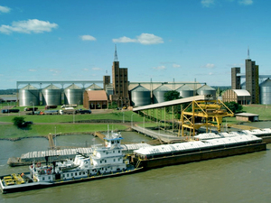 Exportaciones paraguayas crecen y diversifican mercados