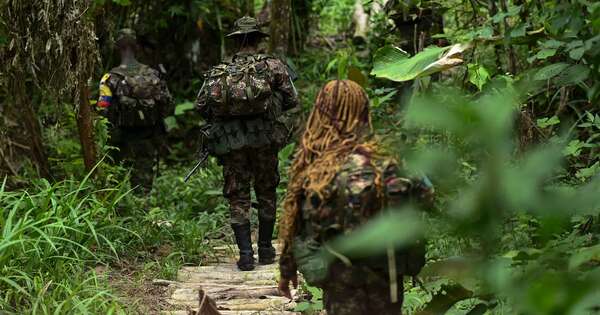 La Nación / Aumenta a 80 cifra de muertos por choques entre guerrillas en noreste de Colombia