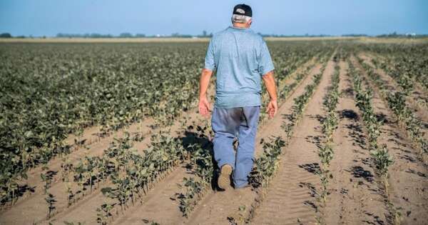 La Nación / Sequía avanza en el campo y crece la incertidumbre de los productores