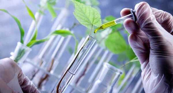 Invitan a postular a cursos para formación en biotecnología