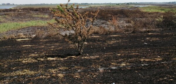 Sospechan que incendios en el Banco San Miguel fueron intencionales - 1000 Noticias