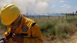 Entre el 95% y el 98% de los incendios son deliberados - 1000 Noticias
