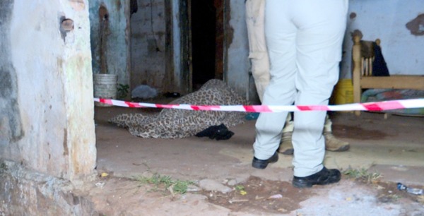 Ypané: joven muere apuñalado y capturan a presunto autor - trece
