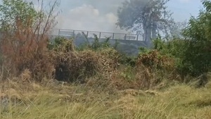 Unas 40 hectáreas consumidas en el Banco San Miguel