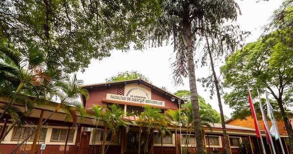 La Nación / Robaron 46 computadoras de la Facultad de Ciencias Económicas de la UNA