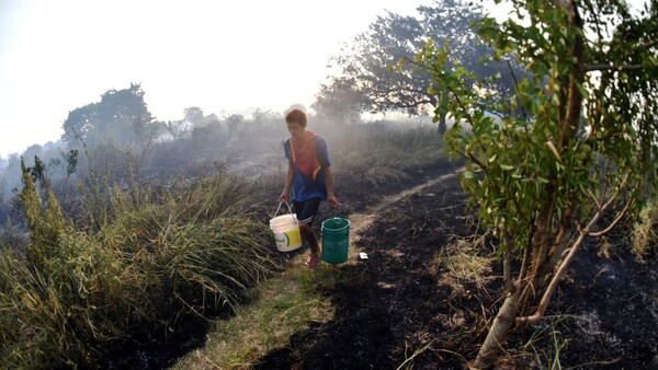 La complicada situación del Banco San Miguel, la reserva verde más grande de Asunción