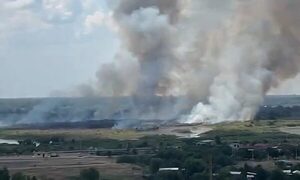 Confirman que el incendio en la Costanera Norte fue intencional