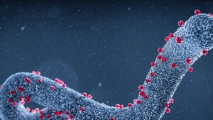 Tanzania confirma un nuevo brote de Marburgo, similar al ébola, en el noroeste del país