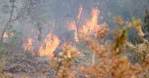 Diario HOY | Fiscalía abre investigación para dar con autores de incendios en el Banco San Miguel