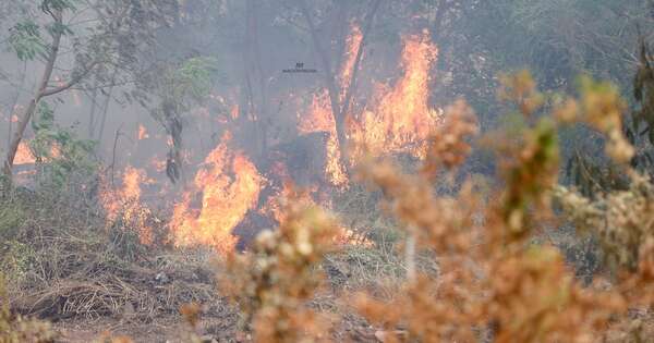 Diario HOY | Fiscalía abre investigación para dar con autores de incendios en el Banco San Miguel