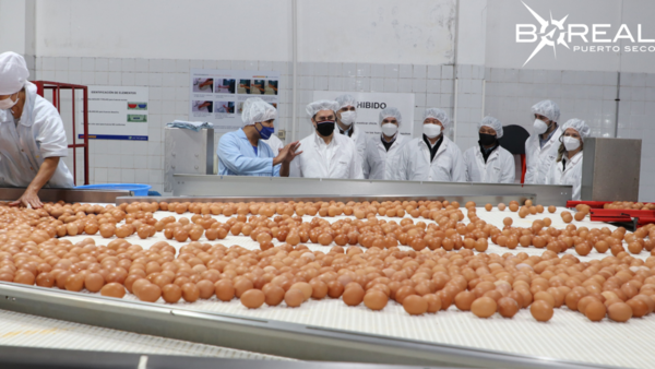 Desde Avipar afirman tener un buen dinamismo en la producción de huevos - Unicanal