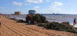 Playa San José, inhabilitada durante horas por “invasión” de camalotes - Nacionales - ABC Color