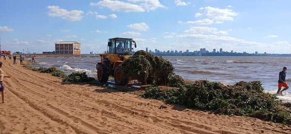 Playa San José, inhabilitada durante horas por “invasión” de camalotes - Nacionales - ABC Color