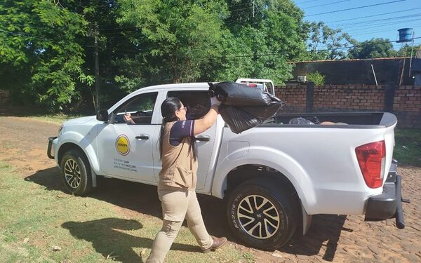 Intervienen 60 manzanas de un barrio para eliminar criaderos de mosquitos