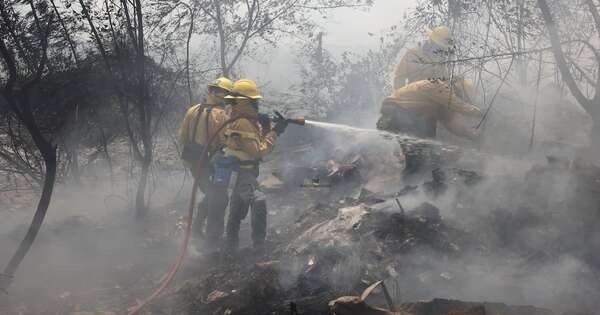 La Nación / Fiscalía busca identificar a responsables de incendios en Banco San Miguel