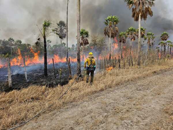 Instan a realizar denuncias ante campos afectados por incendios accidentales