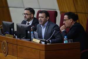 La reforma de Ley de APP será sancionada  mañana en Diputados - Política - ABC Color