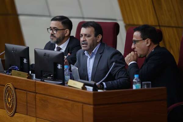 La reforma de Ley de APP será sancionada mañana en Diputados - Política - ABC Color