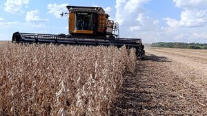 Lluvias no aplacaron crisis agrícola, pero se prevé mejora esta semana