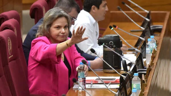 Confirman que en sesión fijada el próximo 28 tratarán el caso Pecci