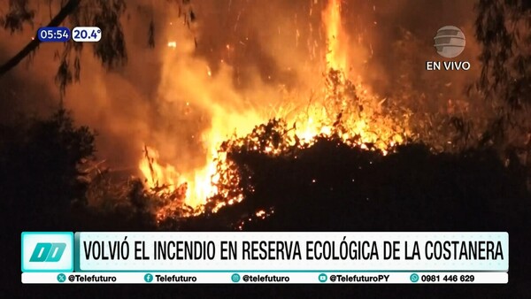 Volvió el incendio en la reserva ecológica de la Costanera