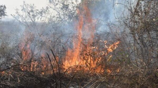 Sigue el drama: Se reaviva el fuego en la zona del Banco San Miguel - ADN Digital