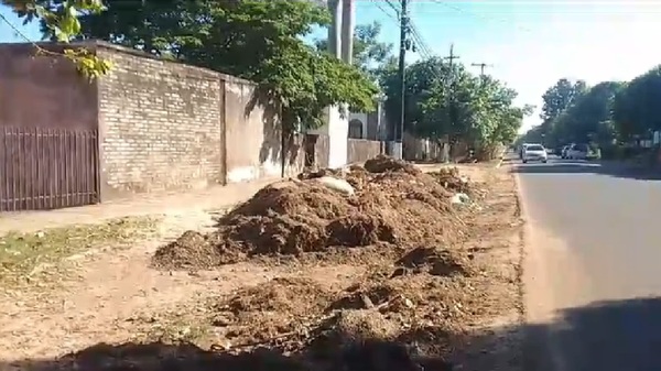 Municipalidad de Coronel Oviedo impulsa plan de hermoseamiento de calles - OviedoPress