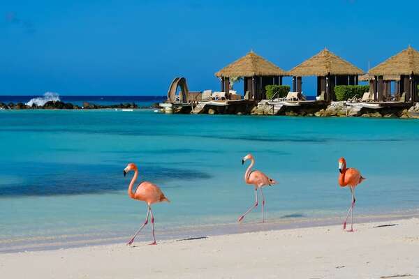 Aruba, la isla feliz del Caribe que te va a enamorar - Viajes - ABC Color
