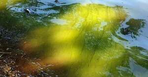 Sin agua y sin respuestas: caños añejos y agua verdosa generan quejas de usuarios de Essap en Ciudad del Este - ABC en el Este - ABC Color