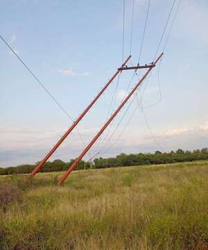 Lo que dijo la ANDE sobre las horas sin energía en Alto Paraguay - Economía - ABC Color