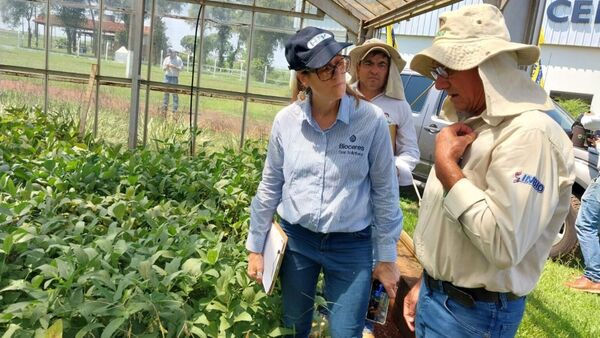 Trabajan en una soja paraguaya tolerante a la sequía y estaría disponible en 2027 | Agronegocios | 5Días