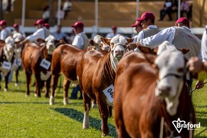 Paraguay será sede del Congreso Mundial Braford en 2028