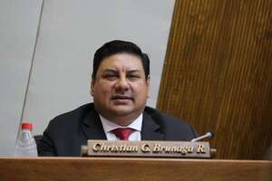 “Psicovendedora” aterriza en la Cámara Baja para asesorar al diputado Brunaga - Política - ABC Color