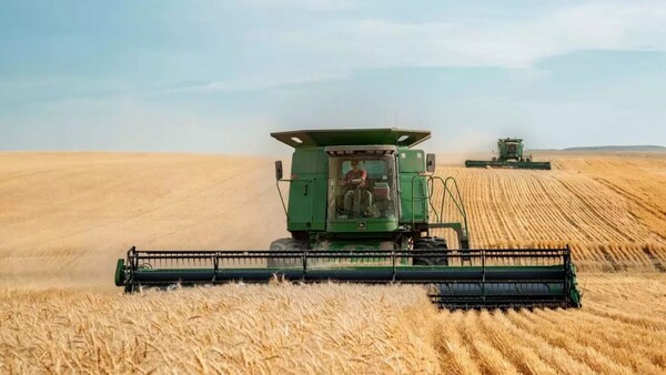 Rusia, dispuesta a restringir la exportación de alimentos si se desestabiliza su mercado